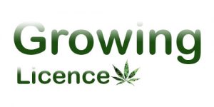 Growing-Licence-CA-500x250