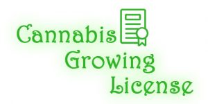 cannabis growing licence dot com-500x250