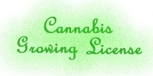 cannabis growing license dot ca-500x250