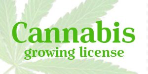 cannabis growing license dot net-500x250